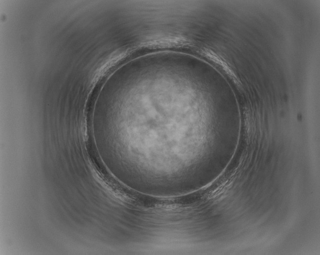 X0000075830582200609221642