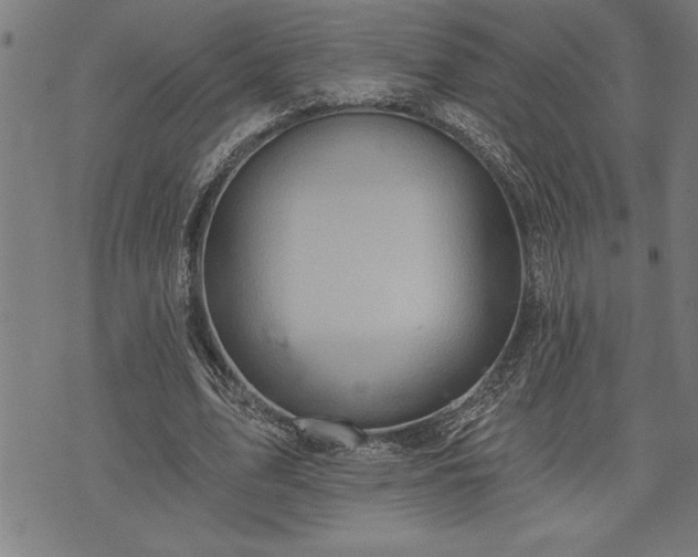 X0000075830583200609221642