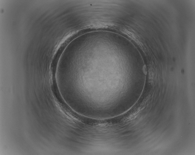 X0000075830584200609221642