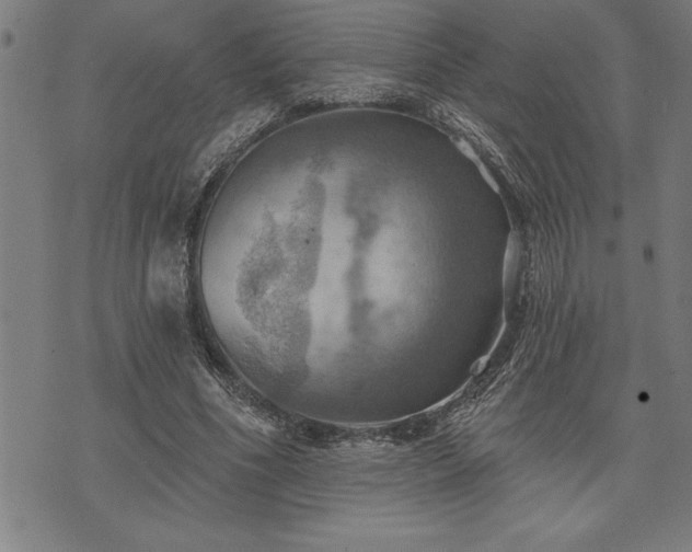 X0000075830586200609221642