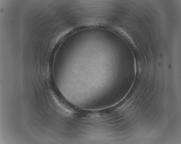 X0000075830588200609221642