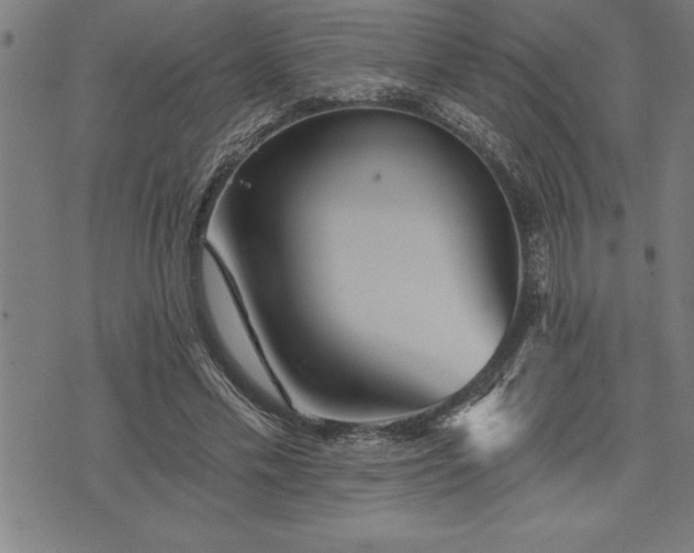 X0000075830589200609221642