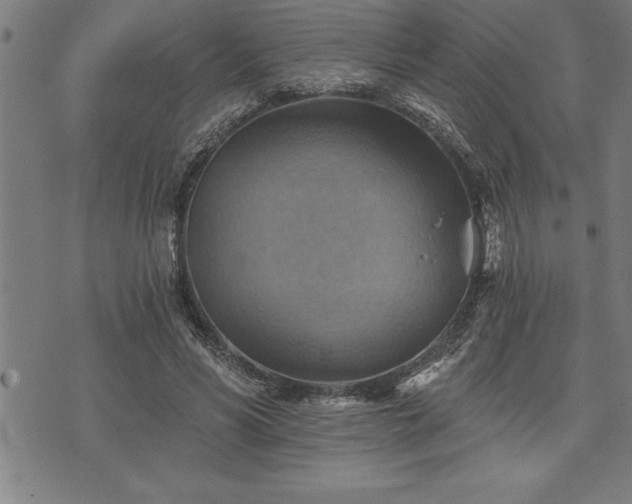 X0000075830590200609221642