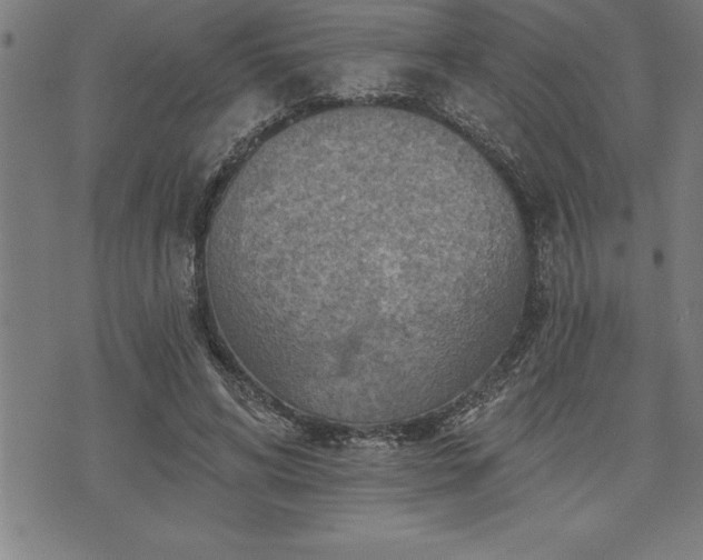 X0000075830592200609221642