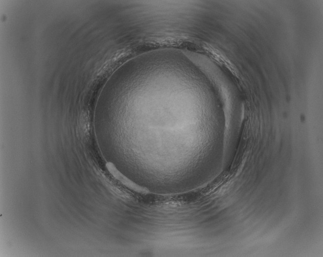 X0000075830593200609221642