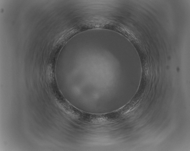 X0000075830594200609221642