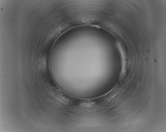 X0000075830595200609221642