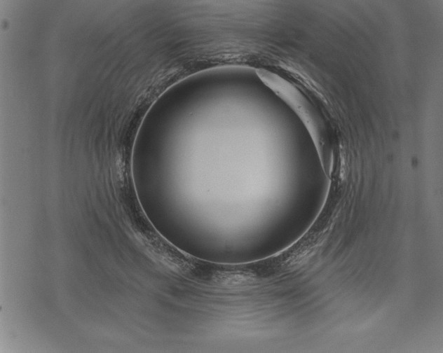 X0000075830597200609221642