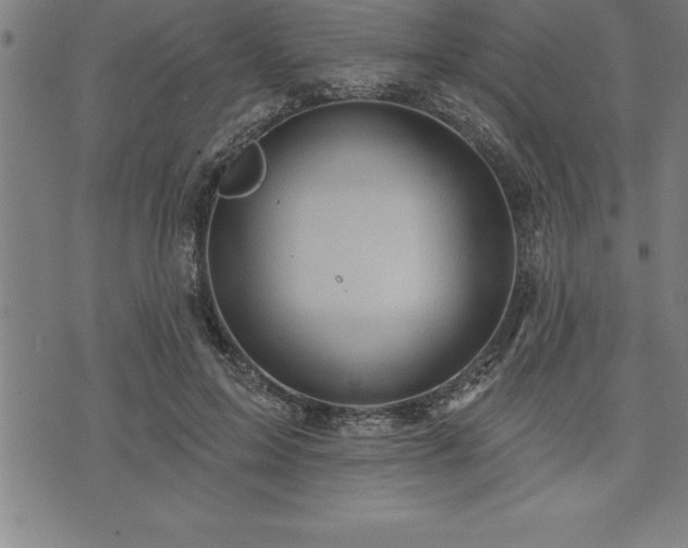 X0000075830599200609221642