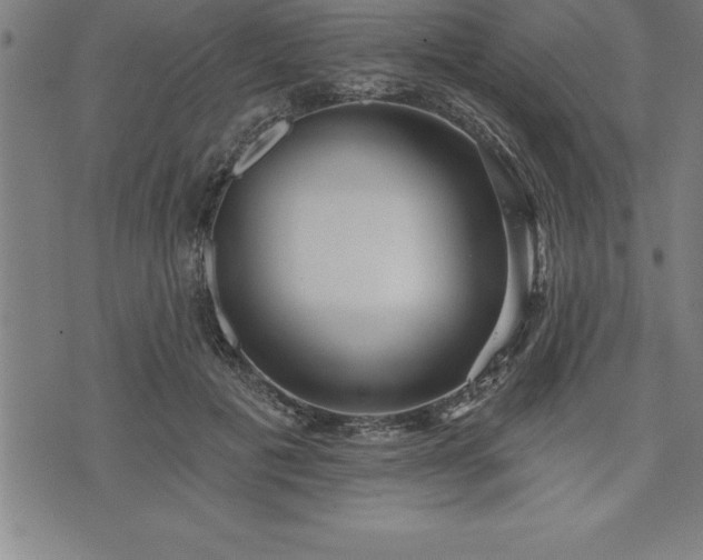 X0000075830601200609221642