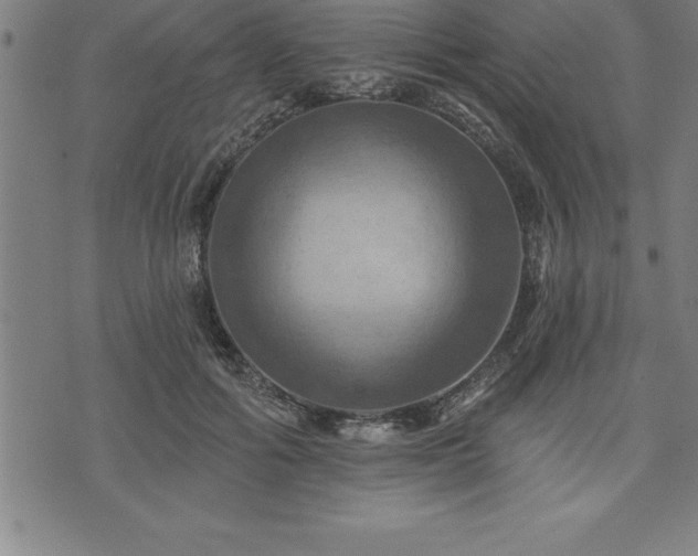 X0000075830602200609221642