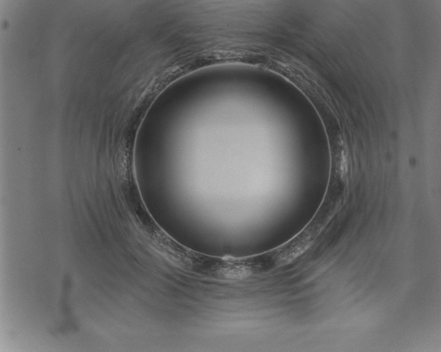 X0000075830604200609221642