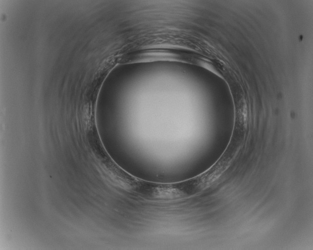 X0000075830605200609221642