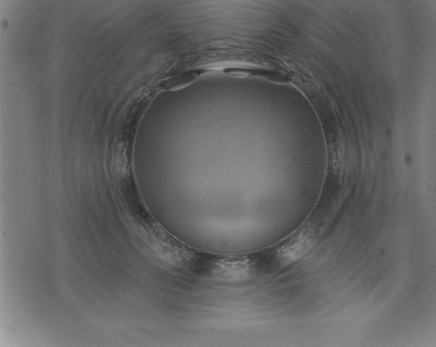 X0000075830606200609221642