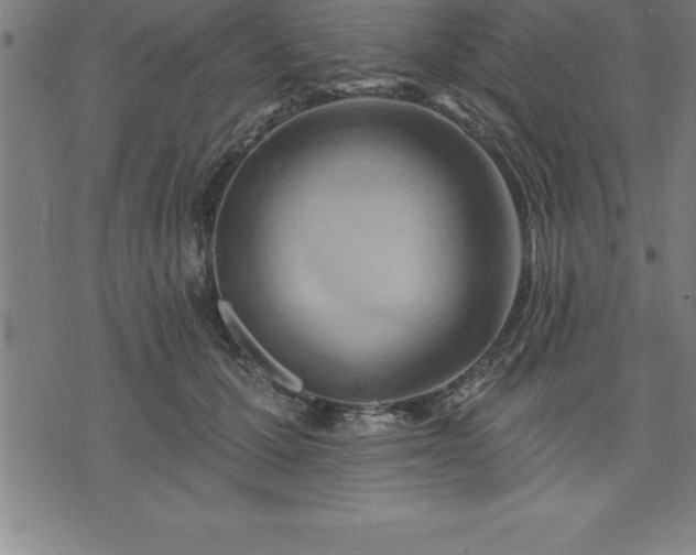 X0000075830607200609221642