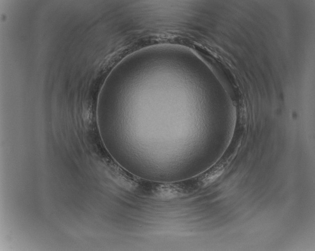 X0000075830608200609221642