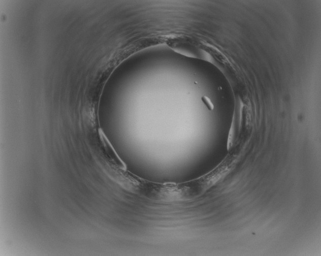 X0000075830613200609221641