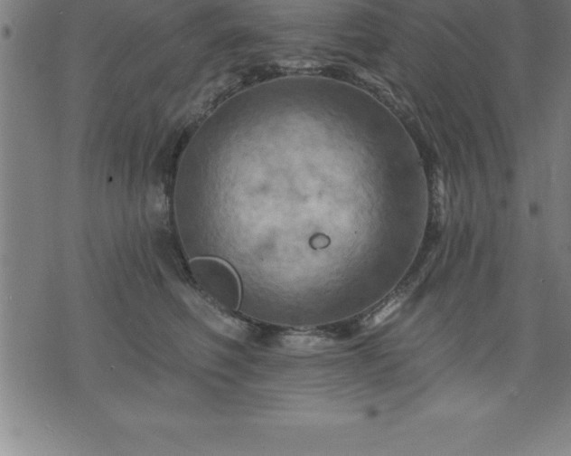 X0000075830614200609221641