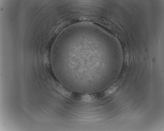 X0000075830616200609221641