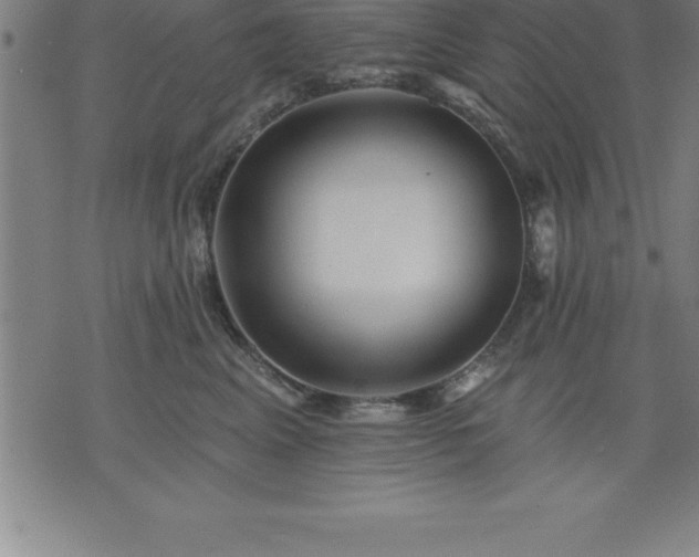 X0000075830617200609221641