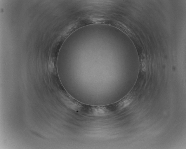 X0000075830618200609221641