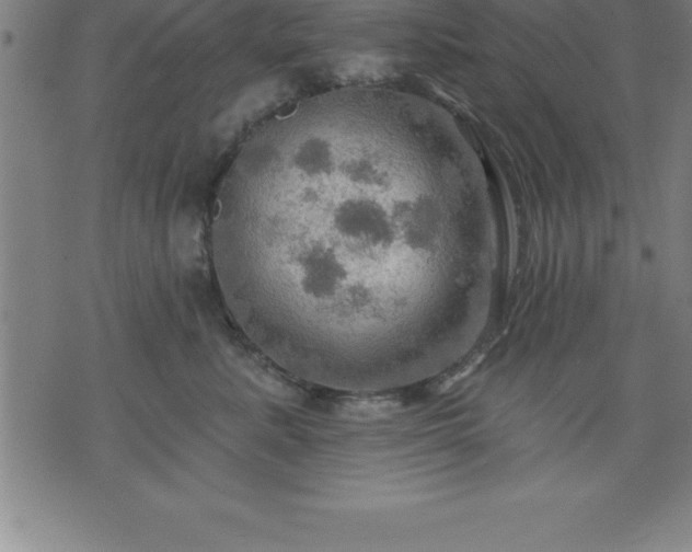 X0000075830619200609221641