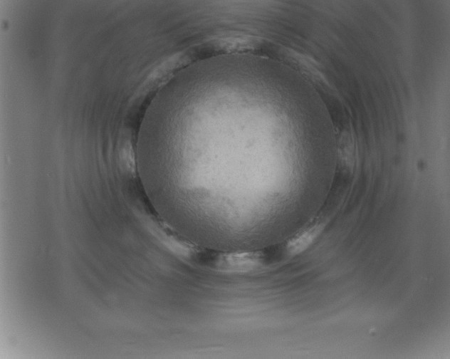 X0000075830622200609221641