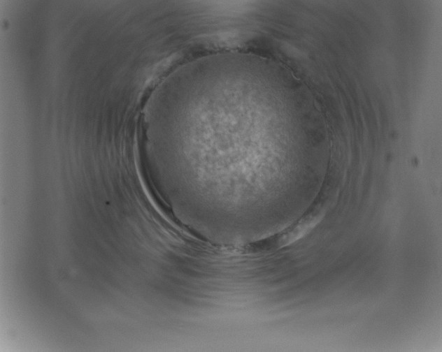 X0000075830624200609221641