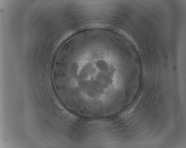 X0000075830625200609221640