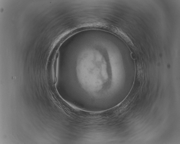 X0000075830628200609221641