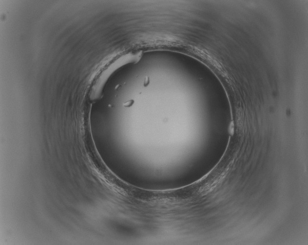 X0000075830629200609221641