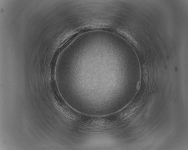 X0000075830631200609221641