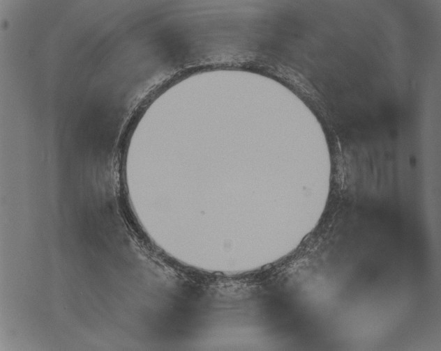 X0000075830632200609221641