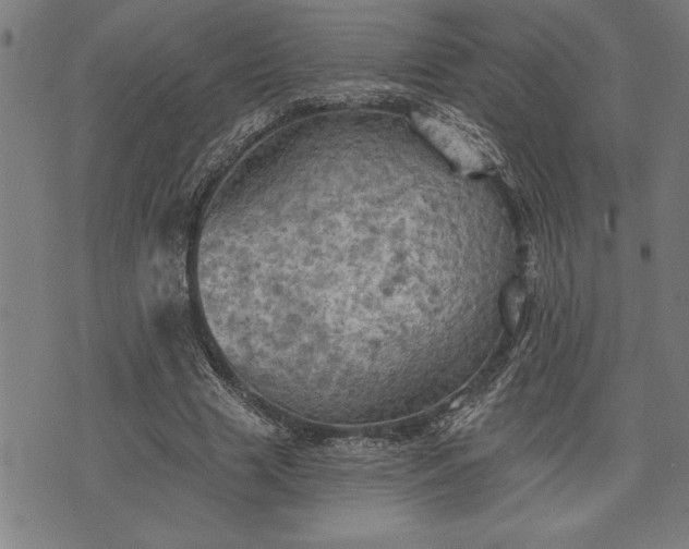 X0000075830633200609221641