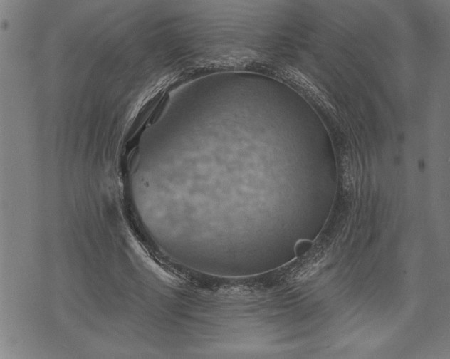 X0000075830634200609221641