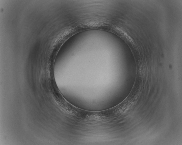 X0000075830635200609221641