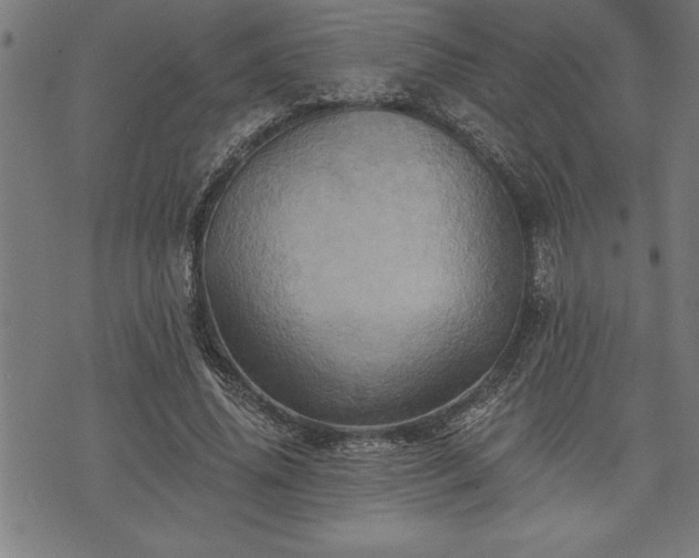 X0000075830636200609221641