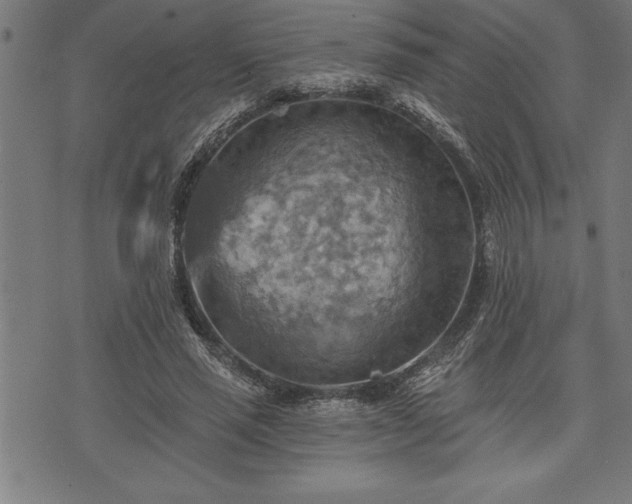 X0000075830637200609221641