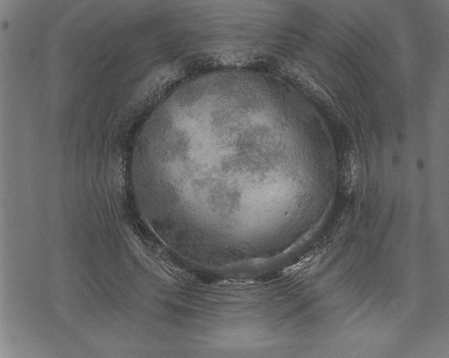 X0000075830639200609221641