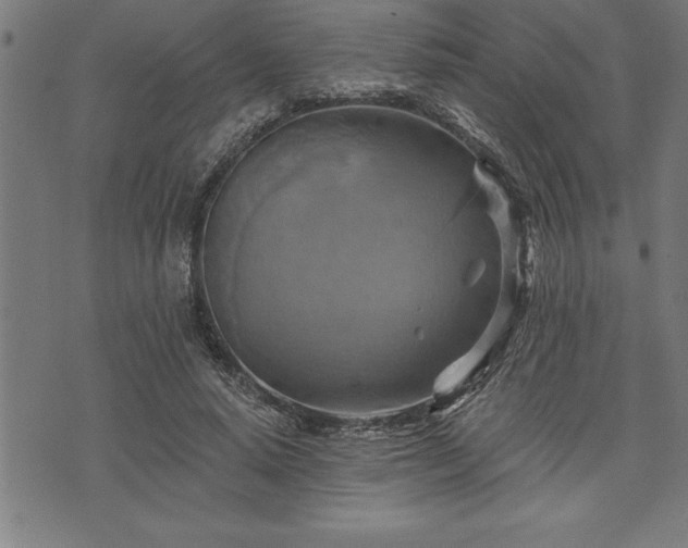 X0000075830640200609221641