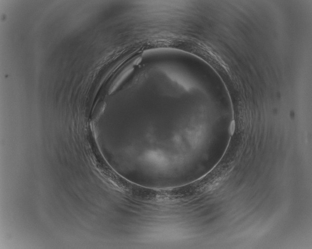 X0000075830641200609221641