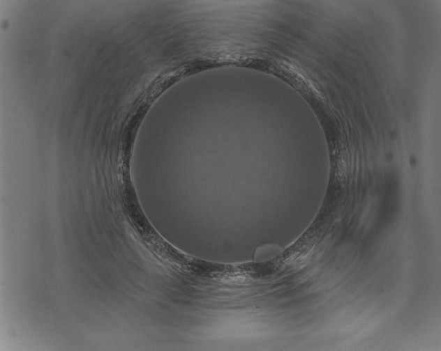 X0000075830643200609221641