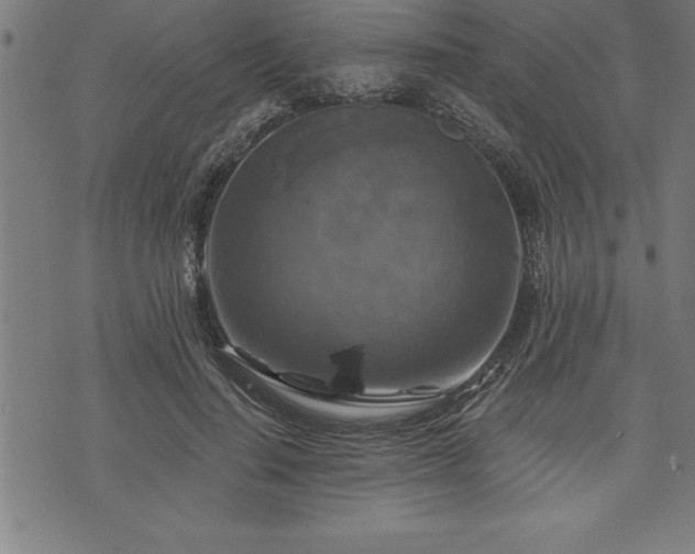 X0000075830644200609221641