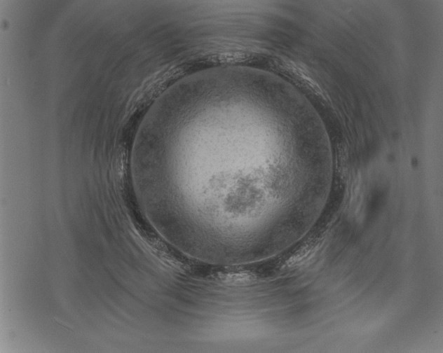 X0000075830645200609221641