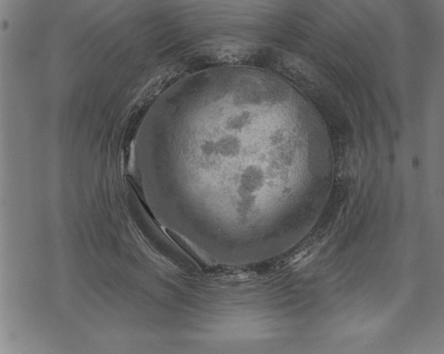 X0000075830646200609221641