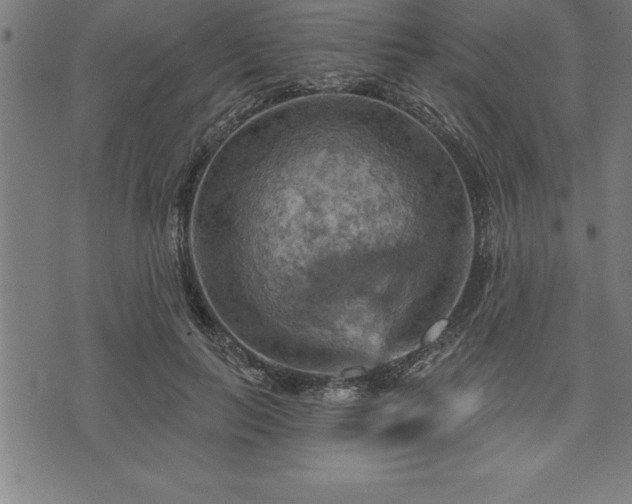 X0000075830647200609221641