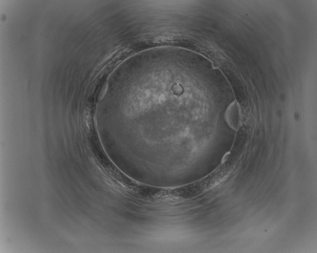 X0000075830648200609221641