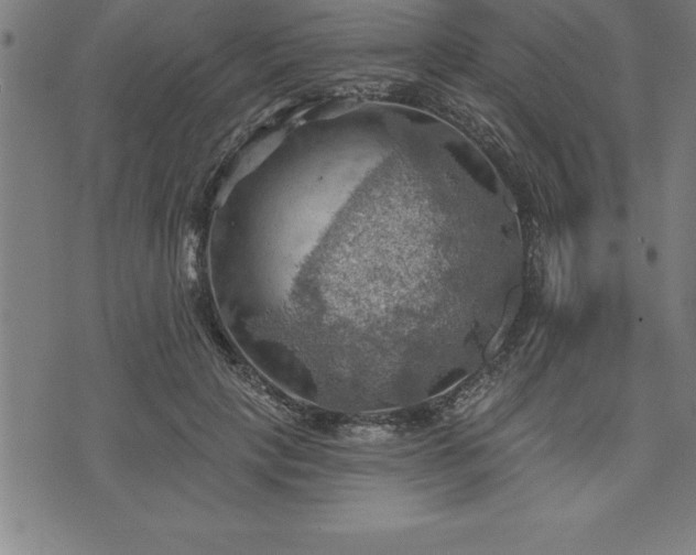 X0000075830649200609221641