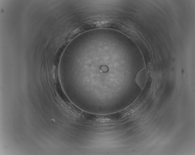 X0000075830650200609221641