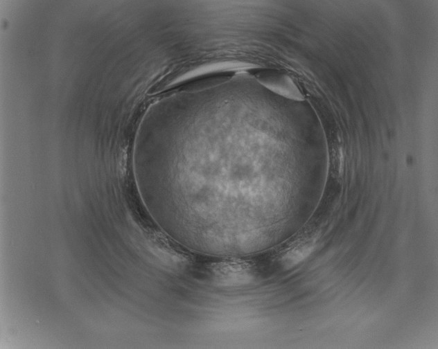 X0000075830652200609221641